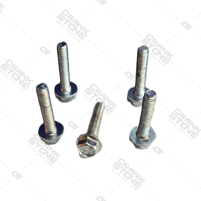 FLANGE BOLT 10 NO. HEAD 6 X 30 - APL 1169 - B1-7-6-A