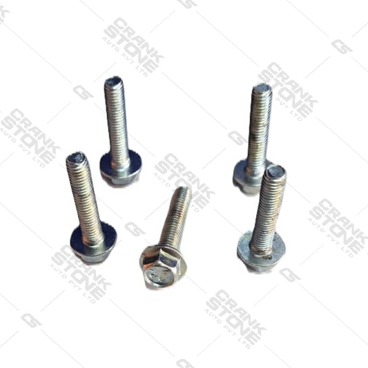 FLANGE BOLT 10 NO. HEAD 6 X 30 - APL 1169 - B1-7-6-A
